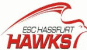 haßfurthawks