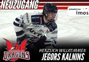 Kalnins Jegors