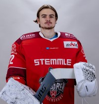 Kubik David